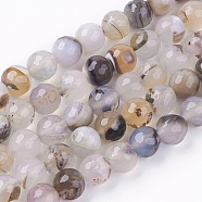 Colored Natural Multi-Color Agate Beads Strands, Dyed, Faceted Round, Gainsboro, 10mm, Hole: 1mm, about 38pcs/strand, 14.5 inch(G-R177-10mm-10)