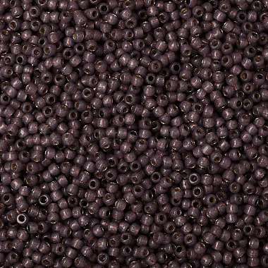 TOHO Round Seed Beads(SEED-JPTR08-PF2114)-2