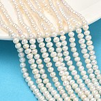 Natural Cultured Freshwater Pearl Beads Strands, Potato, Grade 3A, Antique White, 4mm, Hole: 0.6mm, about 114pcs/strand, 13.78''(35cm)(PEAR-L034-06C)