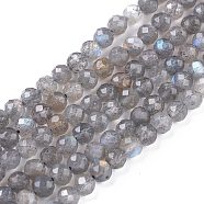 Natural Rainbow Moonstone Beads Strands, Round, Faceted, 4mm, Hole: 0.7mm, about 90~100pcs/strand, 15.35 inch(39cm)(G-R475-025C)