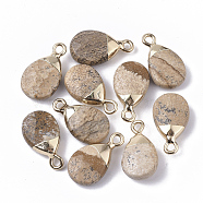 Natural Picture Jasper Pendants, with Top Golden Plated Iron Loops, Teardrop, Faceted, 17~19x10x5mm, Hole: 1.8mm(G-S359-017D)