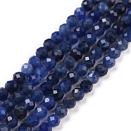 Natural Sodalite Beads Strands, Faceted, Round,  3mm, Hole: 0.6mm, about 126pcs/strand, 15.16 inch(38.5cm)(X-G-C009-A07)