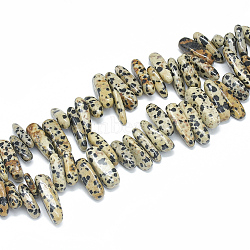Natural Dalmatian Jasper Beads Strands, Chip, 10~30x5~10x3~9mm, Hole: 1mm, about 65~85pcs/strand, 14.9 inch(X-G-S312-09)