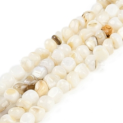 Natural Freshwater Shell  Beads Strands, Nuggets, Snow, 6.5~7.5x6.5~7.5x2~8mm, Hole: 0.8mm, about 57~60pcs/strand, 14.76~14.96''(37.5~38cm)(BSHE-H109-06)