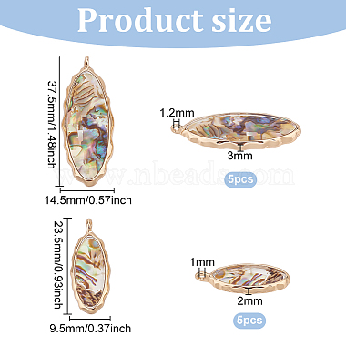 Benecreat 10piezas 2 estilos de colgantes de concha de paua de abulón de resina(FIND-BC0004-61)-2