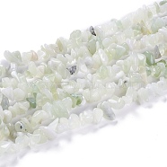 Natural New Jade Chip Bead Strands, 5~8x5~8mm, Hole: 1mm, about 31.5 inch(G-M205-29)