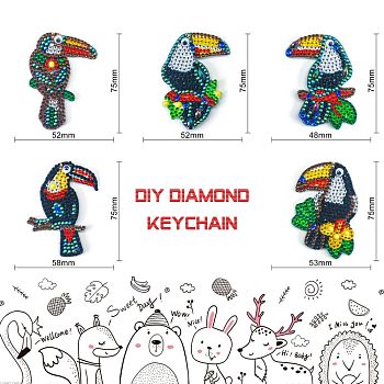 DIY Keychain Diamond Painting Kits, including Acrylic Pendant, Diamond, Diamond Drill Tool, Ball Chain, Swivel Clasp, Parrot Pattern, Pendant: 75x48~58mm, 5pcs