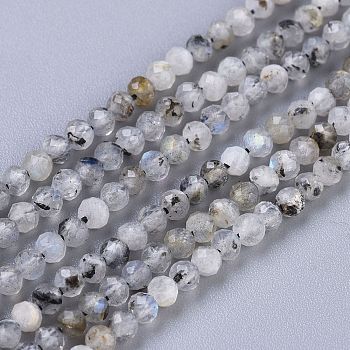Natural Rainbow Moonstone Beads Strands, Round, Faceted, 3mm, Hole: 0.6mm, about 119~140pcs/Strand, 15.35~15.75 inch(39~40cm)