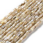 Natural Freshwater Shell Beads Strands, Column, 2.5~3x2.5~3mm, Hole: 0.9mm, about 117pcs/strand, 14.96''(38cm)(SSHEL-B002-17)