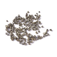 Natural Pyrite Chip Beads, No Hole/Undrilled, 2~5x2~6x1~4.5mm(X-G-M364-19)