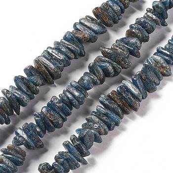Natural Kyanite Beads Strands, Nuggets, 9.5~21.5x7~10.5x4~6mm, Hole: 1mm, about 98~100pcs/strand, 15.94~16.14 inch(40.5~41cm)