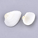 Clam shell perles(SSHEL-S258-48)-2