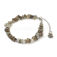 Natural Labradorite Chip Beads Anklets, with Glass Seed Beads, with Brass and Stainless Steel Findings, 8-1/2 inch(21.5cm)(AJEW-AN00229-07)