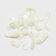 Natural White Shell Beads, Mother of Pearl Shell Beads, Chips, No Hole, 7.5~13x5~7x3~4mm(X-BSHE-G003-02)