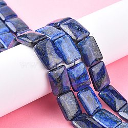 Natural Lapis Lazuli Beads Strands, Rounded Rectangle, 20x15x5~6mm, Hole: 0.8mm, about 20pcs/strand, 15.35''(39cm)(G-K311-05B)
