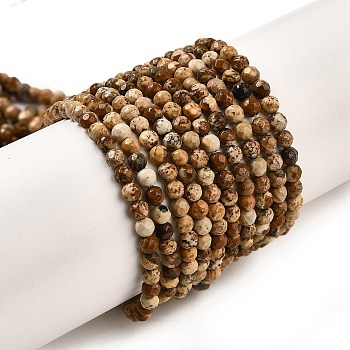 Natural Picture Jasper Beads Strands, Faceted, Round, 3mm, Hole: 0.7mm, about 127pcs/strand, 14.57''(37cm)