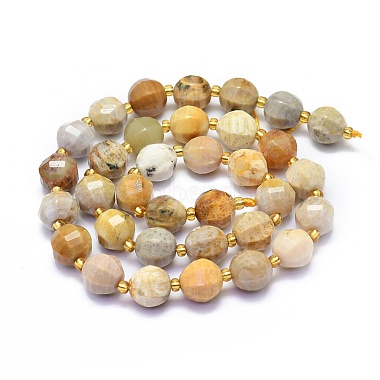 Natural Fossil Coral Beads Strands(G-K306-A07-10mm)-2