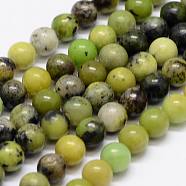 Chapelets de perles en serpentine naturelle, ronde, colorées, 6mm, Trou: 1mm, Environ 65 pcs/chapelet, 15.7 pouce(G-N0170-002-6mm)