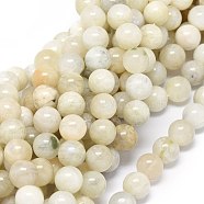 Natural Rainbow Moonstone Beads Strands, Round, 10~10.5mm, Hole: 1mm, about 39pcs/strand, 15.55 inch(39.5cm)(G-O201A-17B)