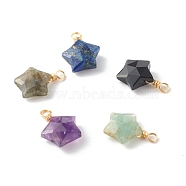 Natural Mixed Gemstone Charms, with Golden Brass Findings, Star, 19.5x14x6.5mm, Hole: 2.5mm(PALLOY-JF00748)