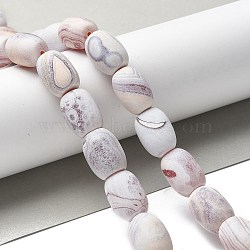 Natural Fire Crackle Agate Beads Strands, Frosted, Dyed & Heated, Barrel, White, 18~18.5x12~14mm, Hole: 1mm, about 22pcs/strand, 15.55''(39.5cm)(G-G190-B01-01)