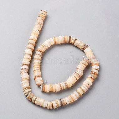 Natural Freshwater Shell Beads Strands(SHEL-C001-05)-2