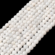 Nature Rainbow Moonstone Round Bead Strands, Grade AB, 4~4.5mm, Hole: 1mm, about 98pcs/strand, 15 inch(G-M263-A-02AB)