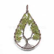 Natural Chip Olive Quartz Big Pendants, with Brass Wires, Teardrop & Tree, Red Copper, 78~81x40~43x5~10mm, Hole: 4.5mm(G-R437-R05)