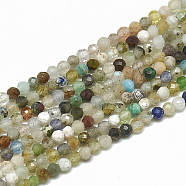 Natural Gemstone Beads Strands, Faceted, Round, 2~2.5mm, Hole: 0.3mm, about 177pcs/strand, 14.9 inch(G-S300-28-2mm)