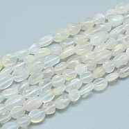 Natural White Moonstone Beads Strands, Tumbled Stone, Nuggets, 5~12x6~7mm, Hole: 0.8mm, about 46~57pcs/strand, 15.16 inch(38.5cm)(G-L550A-01)