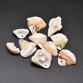 Natural Shell Nuggets Beads, PeachPuff, 10~23x8~23mm, Hole: 1mm, about 130pcs/500g