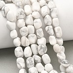 Natural Howlite Beads Strands, Tumbled Stone, Nuggets, 6~13x5~8x4~8mm, Hole: 0.7mm, about 17~22pcs/strand, 6.89~7.09 inch(17.5~18cm)(G-C286-A20)