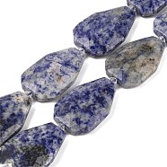 Natural Blue Spot Jasper Beads Strands, Faceted Teardrop, 36~40x24~26x9.5~10.5mm, Hole: 2mm, about 9pcs/strand, 14.96''(38cm)(G-P548-B10-01)