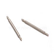 Stainless Steel Double Flanged Spring Bar Watch Strap Pins, Stainless Steel Color, 23x1.3mm(STAS-M231-06)