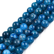 Natural Apatite Beads Strands, Round, 6x6mm, Hole: 1mm, about 62pcs/strand, 15.5 inch(X-G-S150-18-6mm)