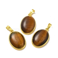 Natural Tiger Eye Pendants, Oval Charms, with Rack Plating Golden Plated Brass Findings, Lead Free & Cadmium Free, 31x20x7.5~8mm, Hole: 7x5mm(G-H286-07G-12)