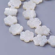 Shell Beads Strands, Flower, 11~11.5x10.2~10.7x2.8~3.1mm, Hole: 0.7mm, about 35pcs/strand, 16 inch(40cm)(SSHEL-E571-30)