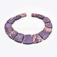 Natural Imperial Jasper Graduated Beads Strands, Dyed, Trapezoid, Medium Purple, 16~34x23~28x5~6mm, Hole: 1mm, about 15pcs/strand, 12.2 inch(G-P296-A01)