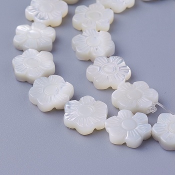Shell Beads Strands, Flower, 11~11.5x10.2~10.7x2.8~3.1mm, Hole: 0.7mm, about 35pcs/strand, 16 inch(40cm)