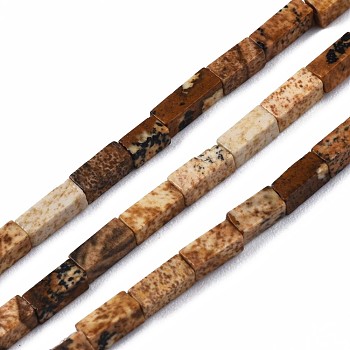 Natural Picture Jasper Beads Strands, Cuboid, 4~5x2x2mm, Hole: 0.8mm, about 82~84pcs/strand, 14.76~15.15 inch(37.5~38.5cm)