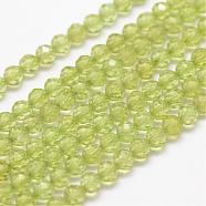 Natural Peridot Beads Strands, Faceted, Round, 3mm, Hole: 0.5~0.6mm, about 144~151pcs/strand, 15.3~15.7 inch(39~40cm)(G-F460-52)