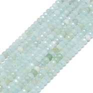 Natural Flower Amazonite Beads Strands, Faceted, Rondelle, 2~2.5x2mm, Hole: 0.5mm, about 223~226pcs/strand, 14.96~15.16 inch(38~38.5cm)(G-G106-A16-01)