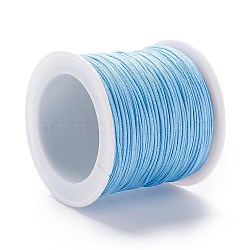 Braided Nylon Thread, DIY Material for Jewelry Making, Light Sky Blue, 0.8mm, 100yards/roll(X-NWIR-K013-A23)