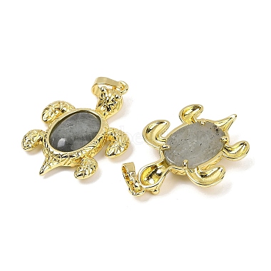 Natural Labradorite & Brass Pendants(KK-F887-01G-05)-2