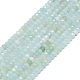 Natural Flower Amazonite Beads Strands(G-G106-A16-01)-1