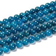 Round Natural Apatite Beads Strands, Grade A, 8mm, Hole: 1mm, about 51pcs/strand, 15.7 inch(G-K068-04-8mm)