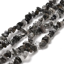 Natural Rutilated Quartz Chip Bead Strands, 5~8x5~8mm, Hole: 1mm, about 31.5 inch(G-M205-57-01)