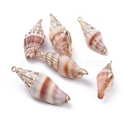 Electroplate Spiral Shell Pendants, with Brass Findings, Golden, Camel, 29~51x11~17x9.5~15mm, Hole: 1.8mm(SSHEL-K025-14G-A)