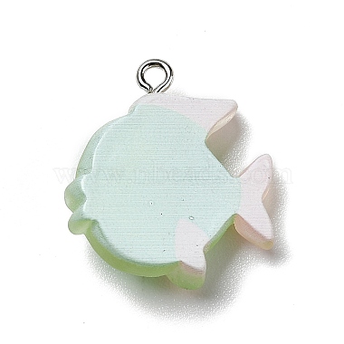 Opaque Resin Pendants(X-RESI-D055-095P)-3