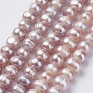 Natural Cultured Freshwater Pearl Beads Strands, Potato, Rosy Brown, 8~9x7~10mm, Hole: 0.5mm, about 47pcs/strand, 14.1 inch(PEAR-D187-12)